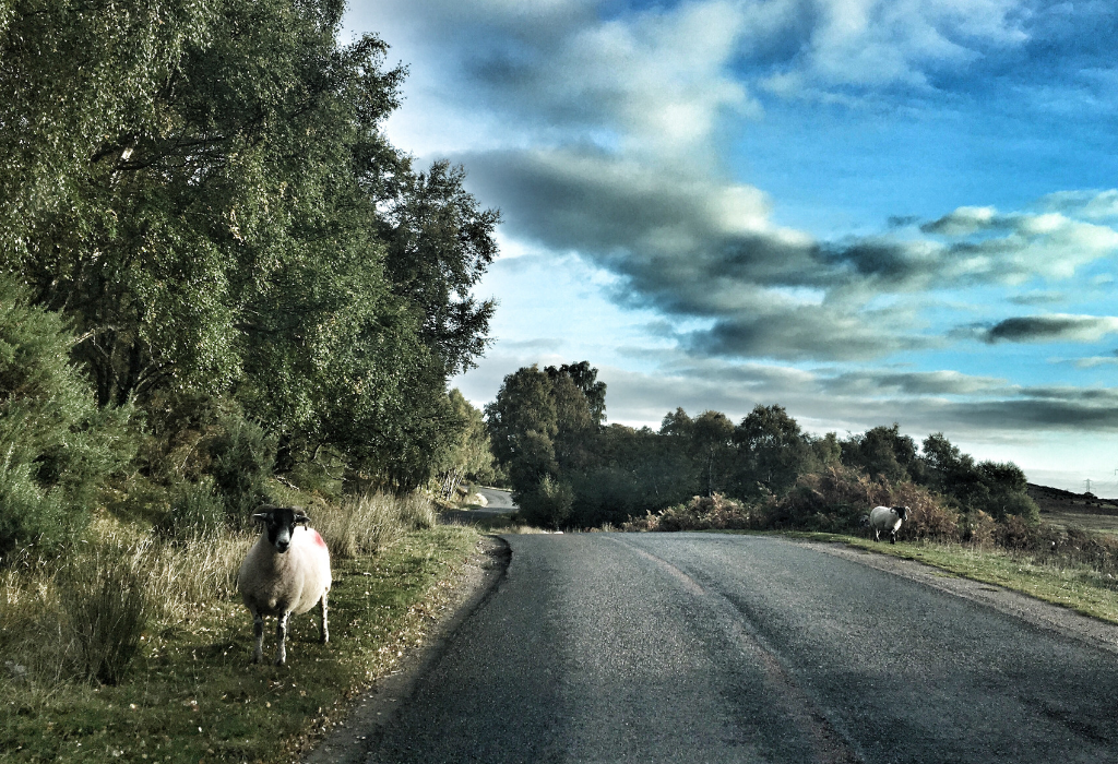 Schottland im Herbst