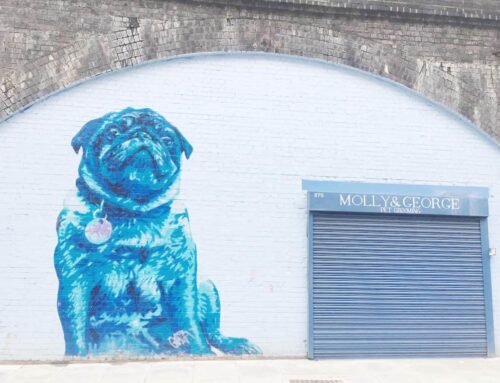 5 überraschende Fakten über Camilla, Herzogin von Cornwall