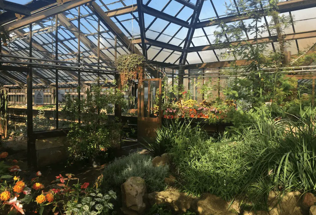 Botanischer Garten Glasgow – viktorianische Ruheoase in der Großstadt