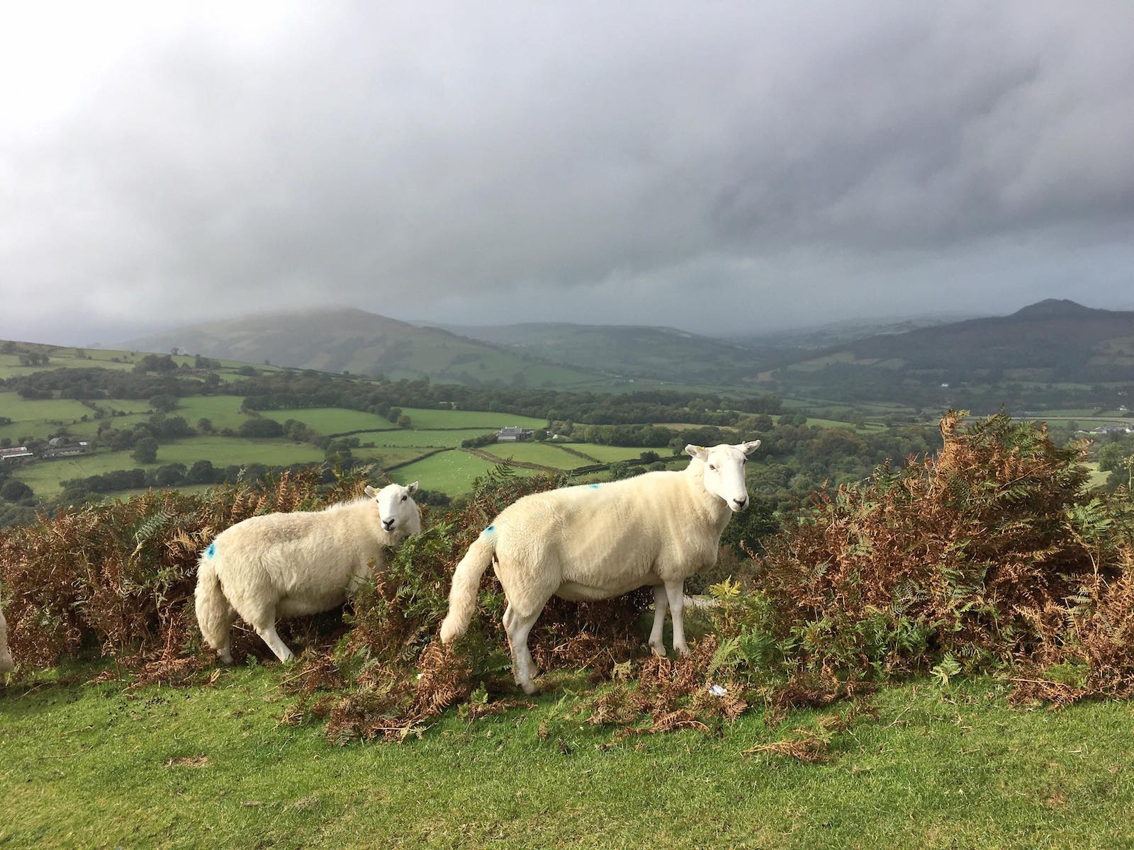 Wales