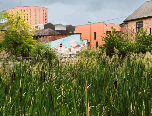 Sheffield entdecken: 10 Highlights, grüne Parks und die besten Food-Spots