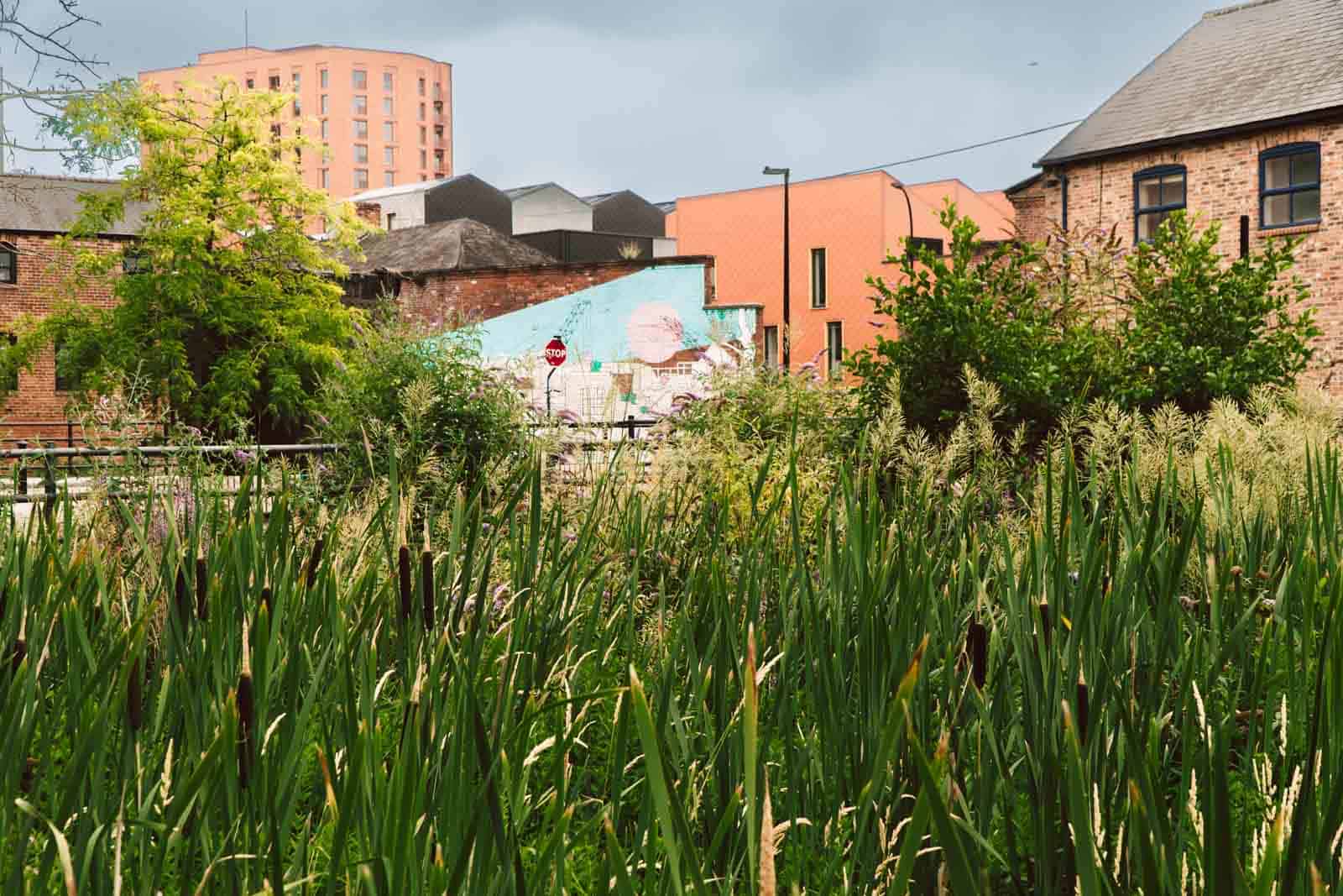 sheffield sehenswürdigkeiten geheimtipps