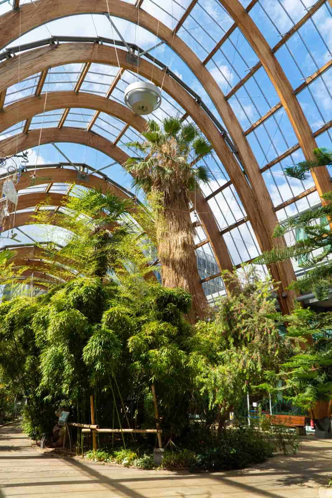 sheffield winter gardens